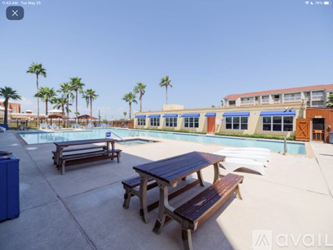 A pool area with benches and palm trees.