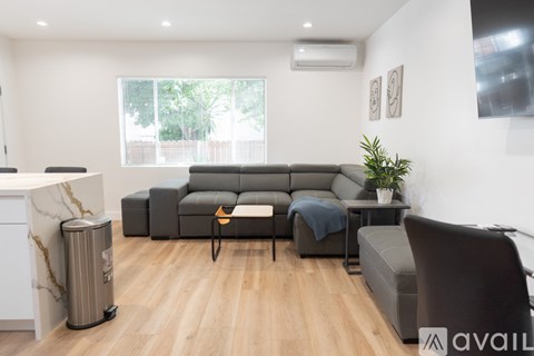 A living room with a grey sofa, a black chair, and a small table with a plant on it.