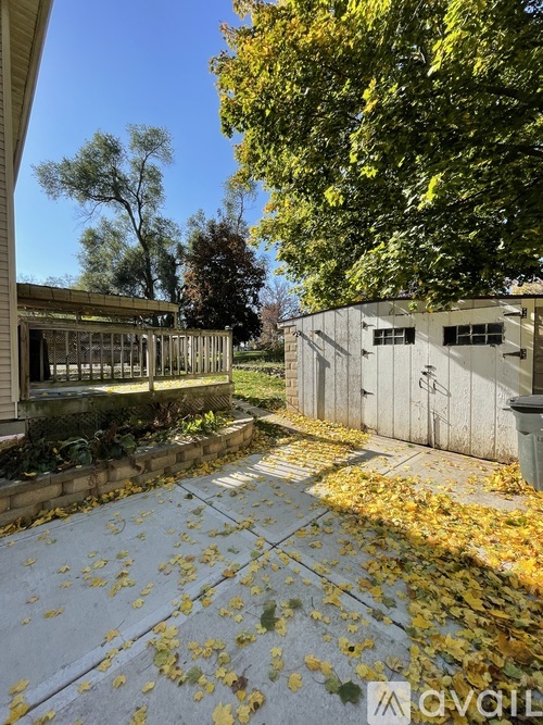 A sidewalk with fallen leaves and a building in the background.