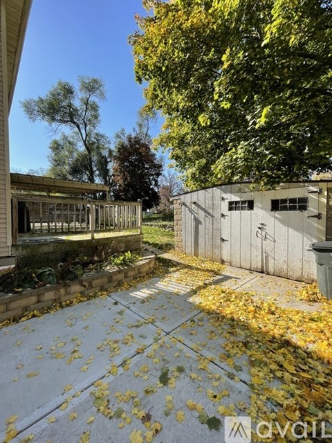 A sidewalk with fallen leaves and a building in the background.
