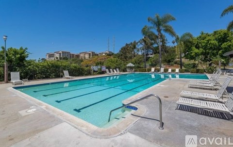 A large outdoor swimming pool with lane markers and a diving board.