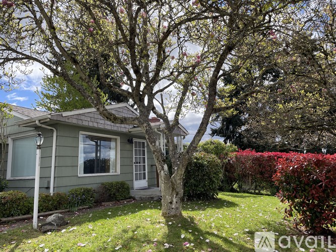 A tree in front of a house with a sign that says "For Sale".
