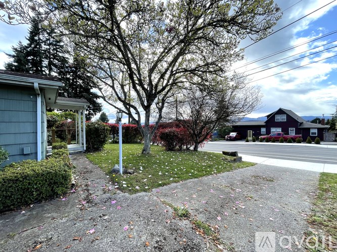 A residential area with a house, trees, and a gravel path.