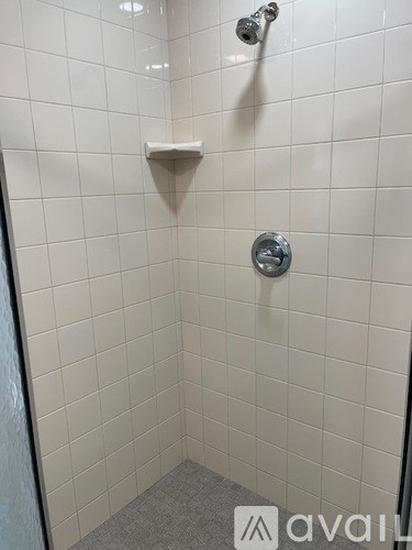 A white tiled shower with a silver shower head and a white soap holder.