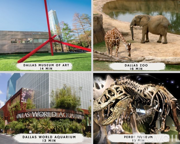A collage of four images showing the Dallas Museum of Art, Dallas Zoo, Dallas World Aquarium, and Perot Museum.