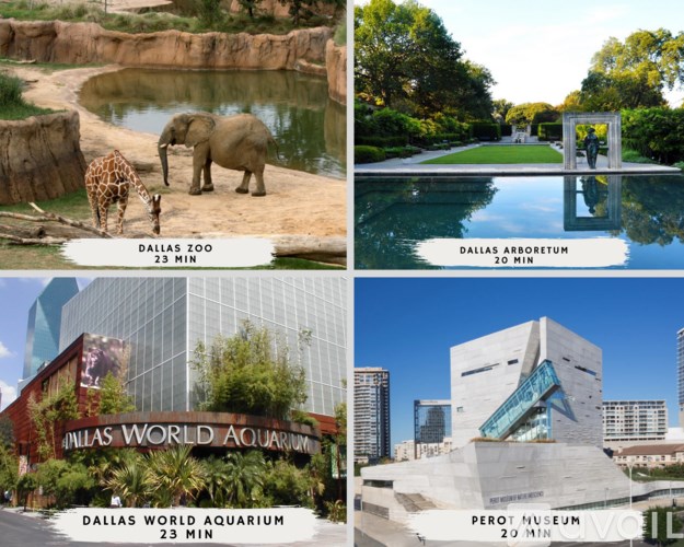 A collage of four images showing the Dallas Zoo, Dallas Arboretum, Dallas World Aquarium, and Perot Museum.