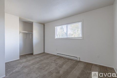 A room with a carpeted floor, a window, and a closet.