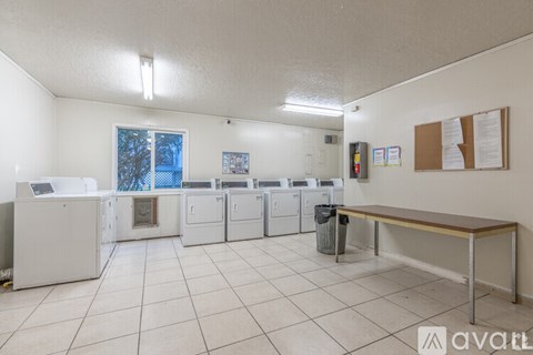 A room with white walls and a row of washing machines.
