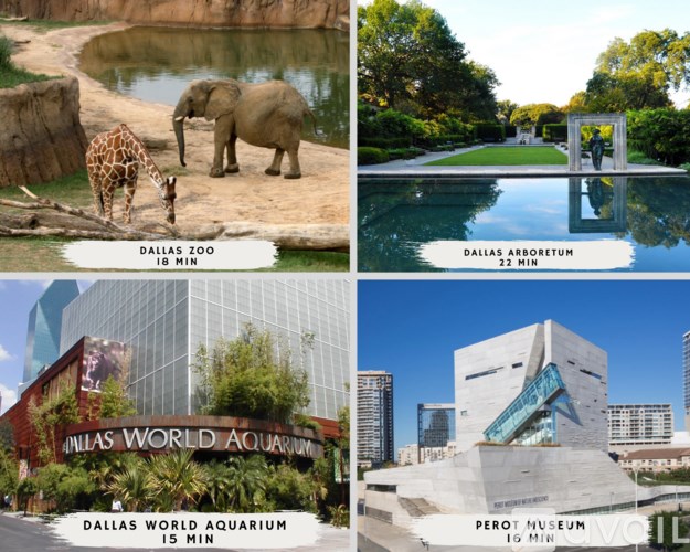 A collage of four images showing the Dallas Zoo, Dallas Arboretum, Dallas World Aquarium, and Perot Museum with their respective visiting times.