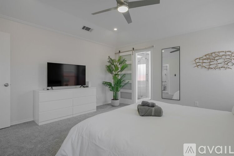A bedroom with a bed, a television, a plant, and a mirror.