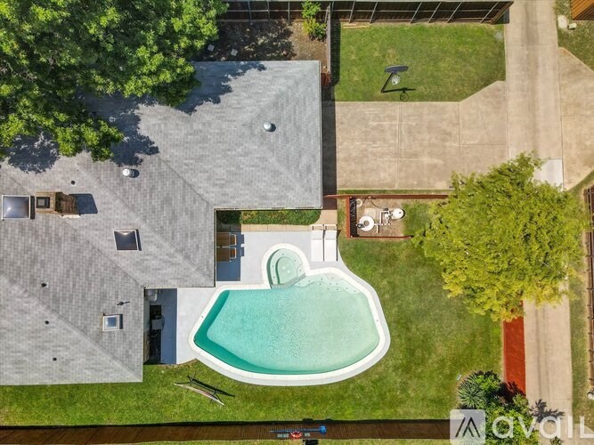 A backyard with a pool and a tree.