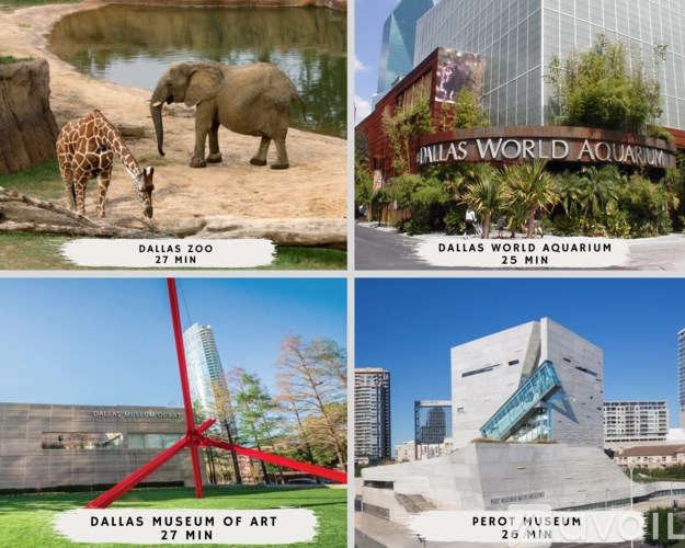 A collage of four images showing the Dallas Museum of Art, Dallas Zoo, Dallas World Aquarium, and Perot Museum.