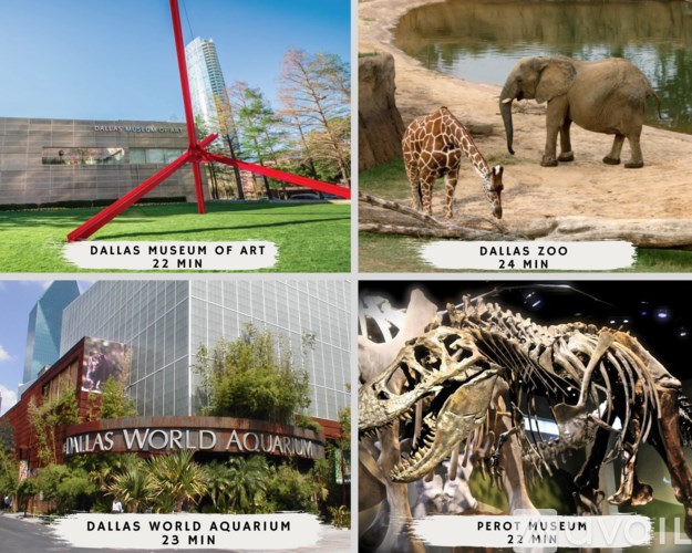 A collage of four images showing the Dallas Museum of Art, Dallas Zoo, Dallas World Aquarium, and Perot Museum.