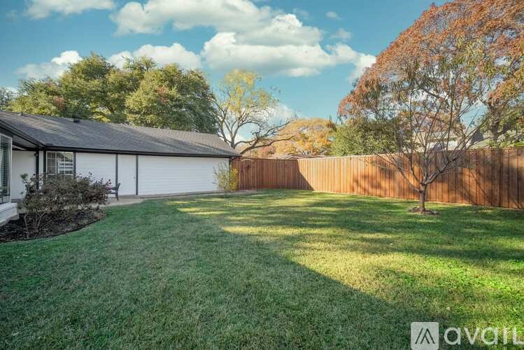 A backyard with a wooden fence and a tree.