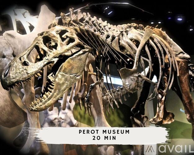 A dinosaur skeleton is displayed in the Perot Museum.
