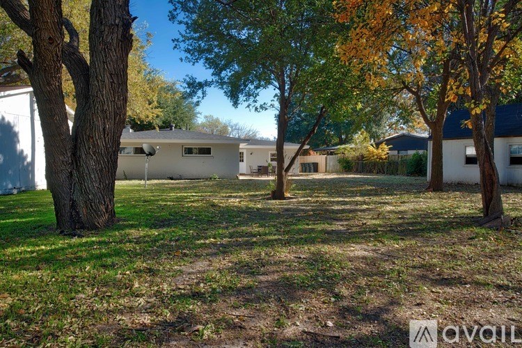 A tree with yellow leaves stands in a yard.