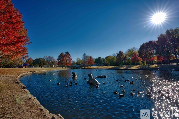 A lake with ducks swimming in it surrounded by trees.