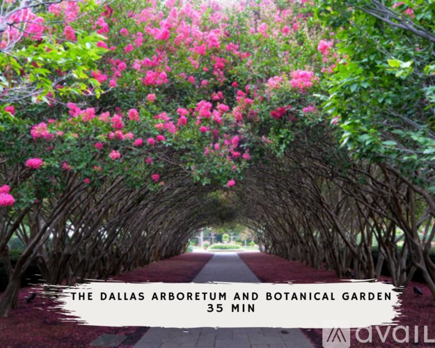 A tunnel of pink flowers leads the way to the Dallas Arboretum and Botanical Garden.