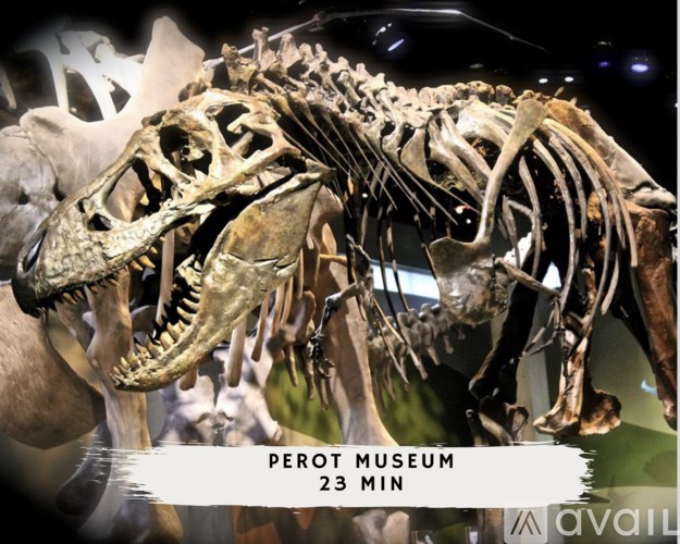A dinosaur skeleton is displayed at the Perot Museum.