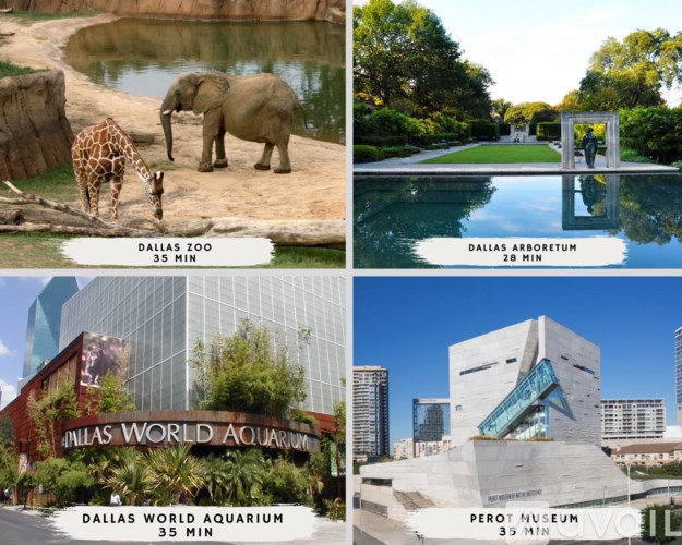 A collage of four images showing the Dallas Zoo, Dallas Arboretum, Dallas World Aquarium, and Perot Museum.