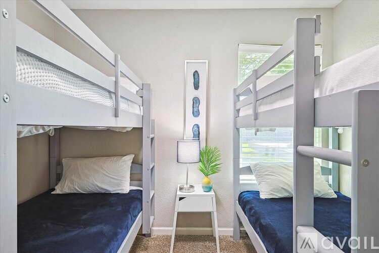 A room with two bunk beds and a small table with a plant on it.