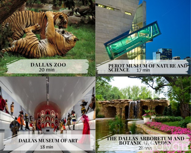 A collage of four images showcasing the Dallas Zoo, Perot Museum of Nature and Science, Dallas Museum of Art, and the Dallas Arboretum and Botanical Garden.