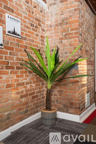 A plant in a pot sits on a carpeted floor against a brick wall.