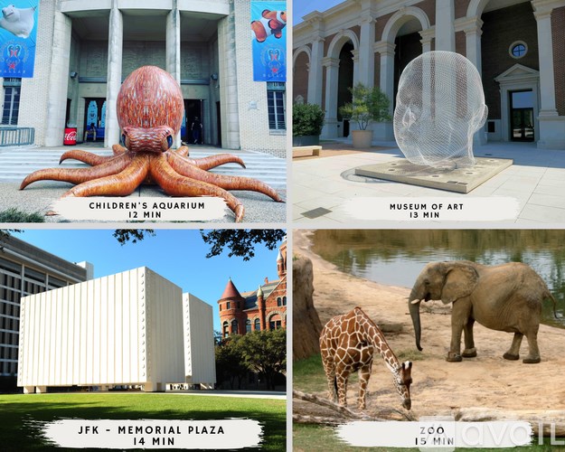 A collage of four images showing different locations with their respective visiting times.