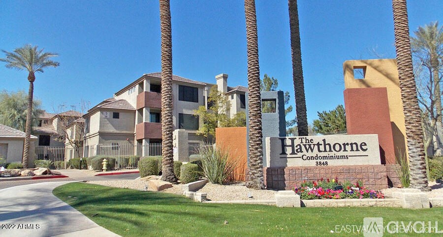 The Hawthorne Condominiums is a building surrounded by palm trees.