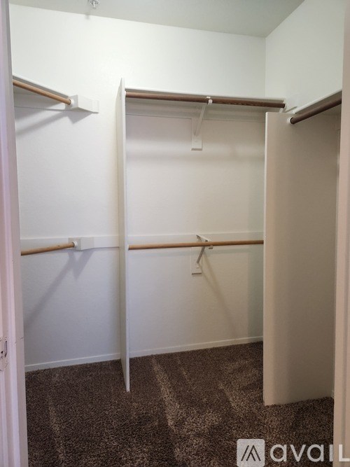 A small, empty closet with a carpeted floor.