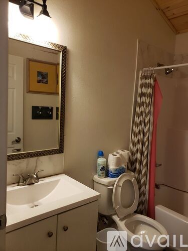 A bathroom with a toilet, sink, mirror, and a shower curtain.