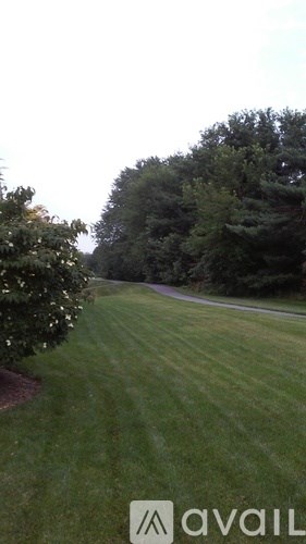 A grassy area with trees in the background.