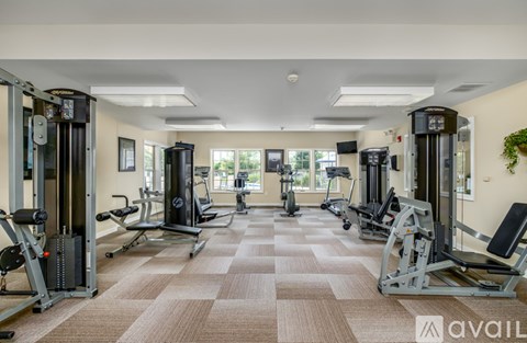 A pathway in a park with trees on both sides.