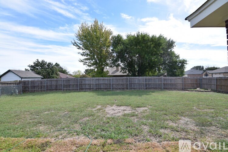 A backyard with a fence and a tree.