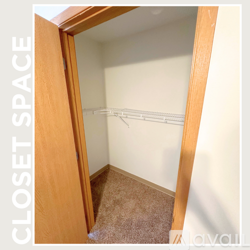 A closet space with a carpeted floor and white walls.