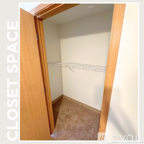 A closet space with a carpeted floor and white walls.