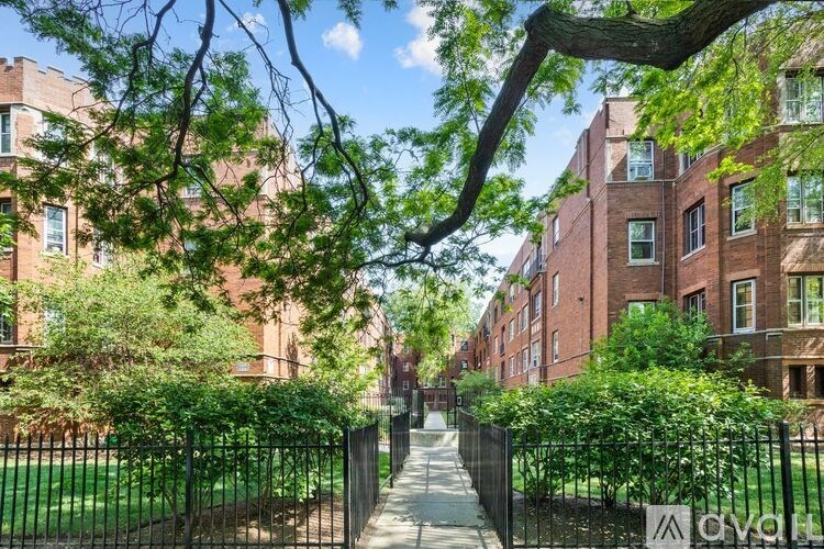 A tree branch hangs over a pathway between two rows of red brick buildings.