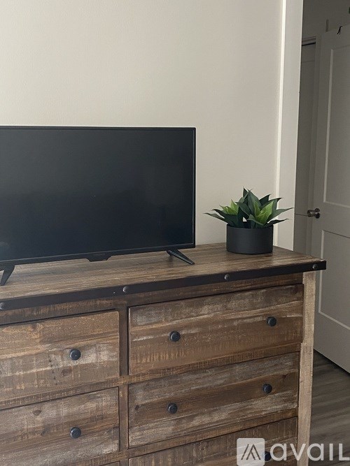 A black television sits on a wooden dresser with a plant beside it.