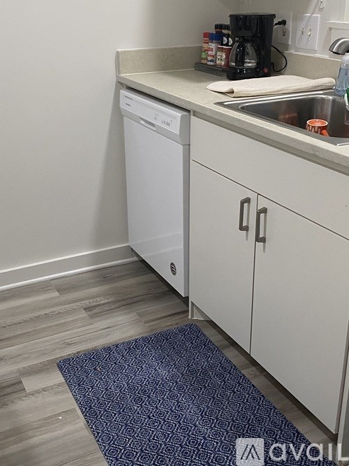 A small kitchen with a dishwasher and a sink.