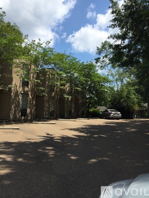 A tree-lined street with a car parked on the side.