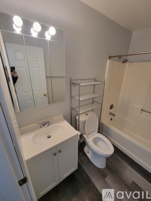 A bathroom with a toilet, sink, and mirror.