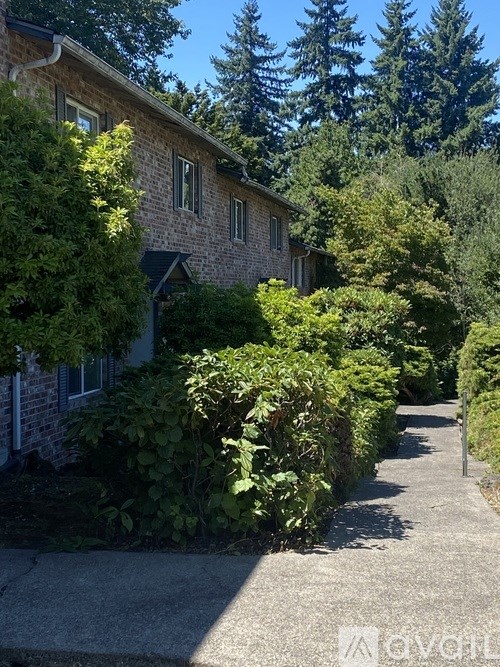 A house with a driveway surrounded by greenery.