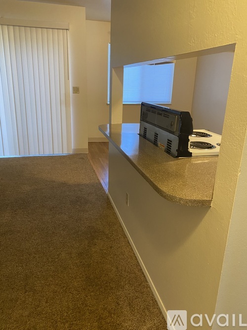 A room with a carpeted floor and a window with blinds.