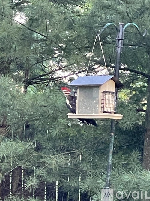 A birdhouse hanging from a pole in a wooded area.