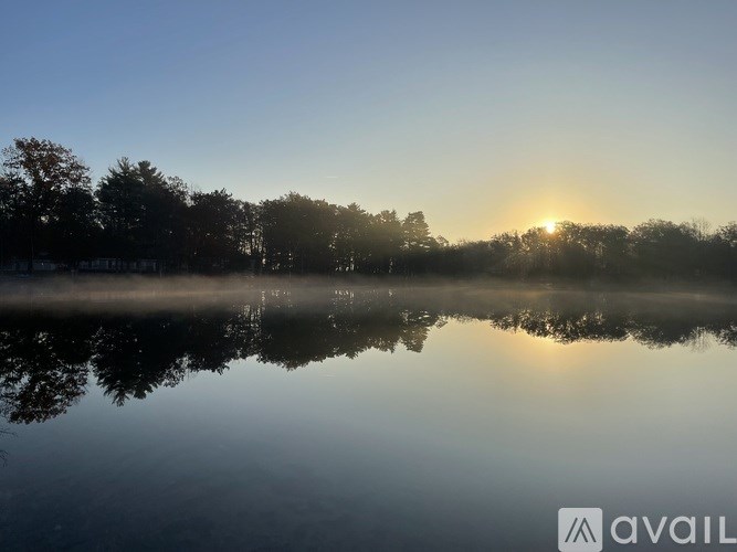 A serene lake with trees and the sun rising or setting in the background.