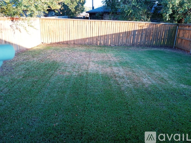 A backyard with a wooden fence and green grass.