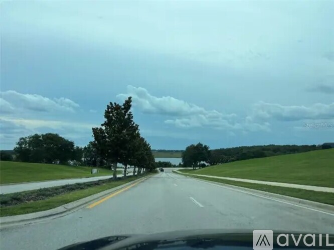 A car is driving on a road with trees on the side.