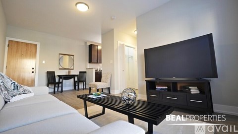 A living room with a white sofa and a black television.