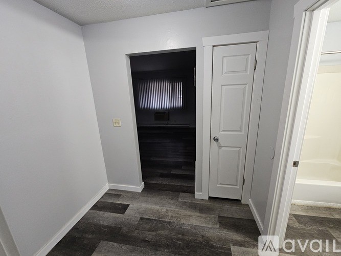 A room with a white door and a black closet.