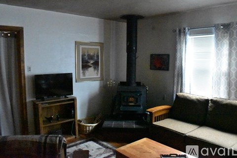 A living room with a wood stove and a couch.